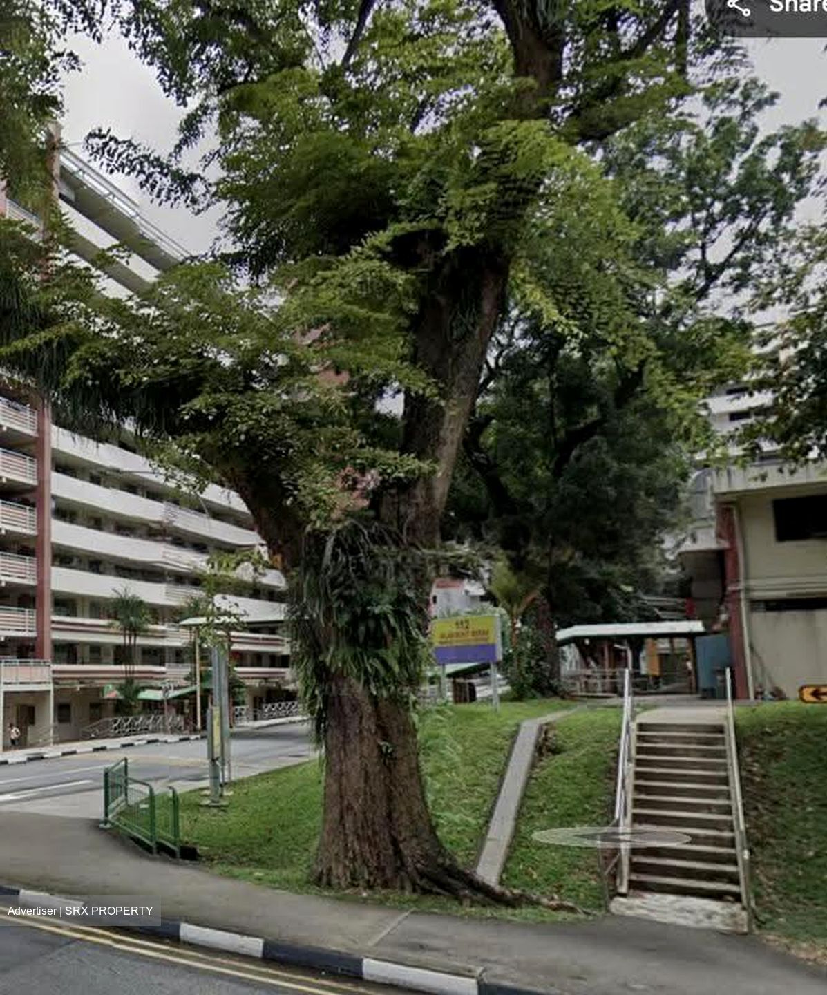 Tiong Bahru Orchid (D3), Shop House #629164861